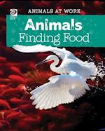 Animals Finding Food 