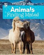 Animals Finding Mates 