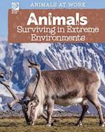 Animals Surviving in Extreme Environments 