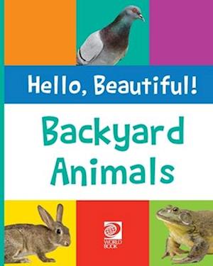 Backyard Animals