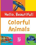 Colorful Animals 