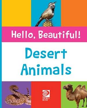 Desert Animals