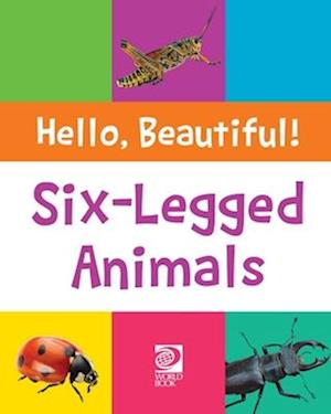 Six-Legged Animals