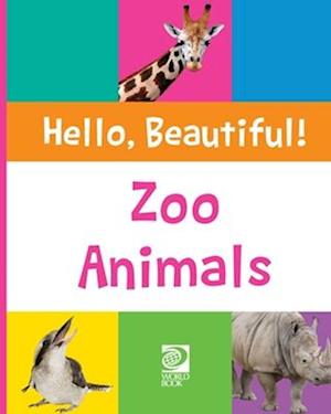 Zoo Animals