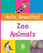 Zoo Animals 