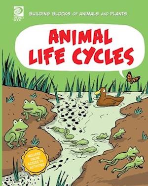 Animal Life Cycles