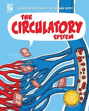 The Circulatory System