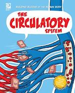 The Circulatory System 