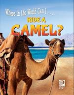 Ride a Camel? 