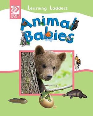 Animal Babies