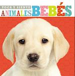 Toca y Siente Animales Bebés