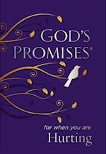 God's Promises for When You are Hurting
