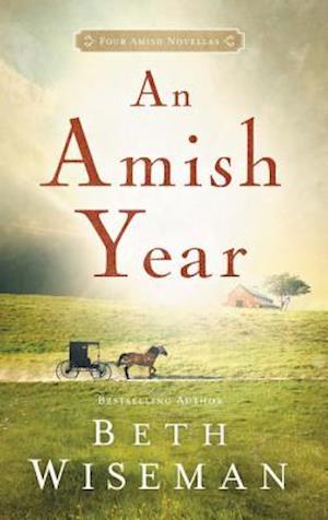 An Amish Year