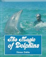 The Magic of Dolphins