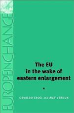 The European Union in the Wake of Eastern Enlargement: Institutional and Policy-Making Challenges 