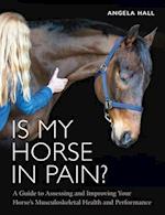 Is My Horse in Pain?