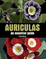 Auriculas