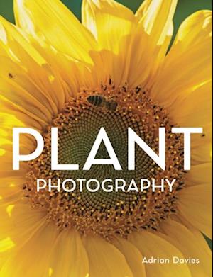 Plant Photography