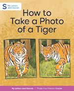 How to Take a Photo of a Tiger