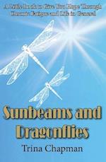 Sunbeams and Dragonflies
