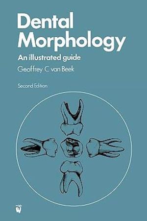 Dental Morphology