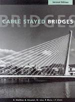 Cable Stayed Bridges