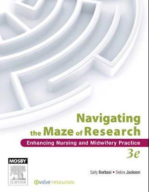 Navigating the Maze of Research - E-Book