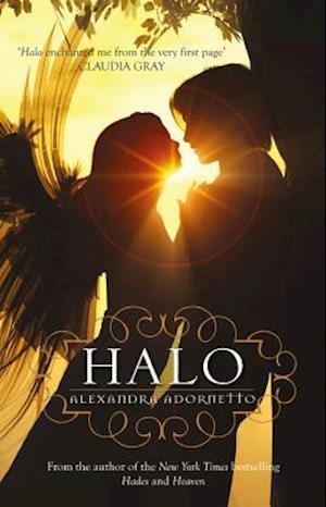 Halo (Halo, #1)