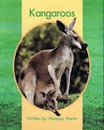 Springboard Lvl 7d: Kangaroos