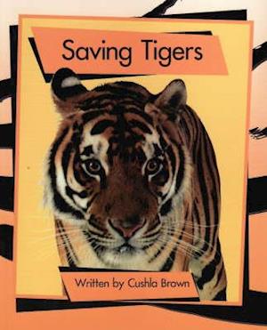 Springboard Lvl 15e: Saving Tigers