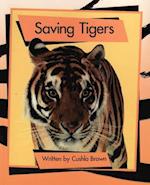 Springboard  Lvl 15e: Saving Tigers