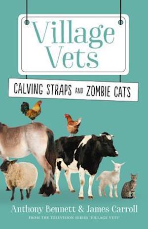 Calving Straps and Zombie Cats