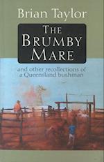 Brumby Mare