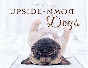 Upside-Down Dogs