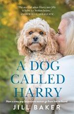 A Dog Called Harry
