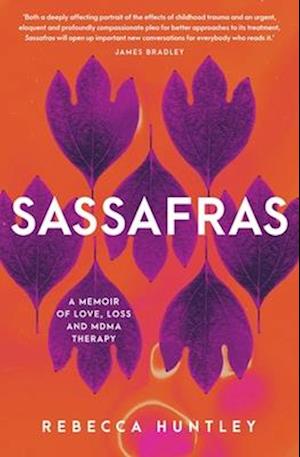 Sassafras