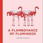 A Flamboyance of Flamingos