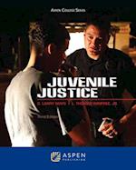 Juvenile Justice, Third Edition