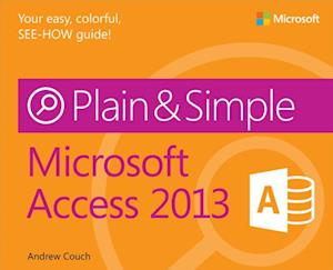 Microsoft Access 2013 Plain & Simple