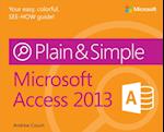 Microsoft Access 2013 Plain & Simple