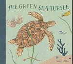 The Green Sea Turtle
