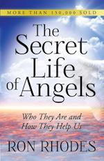 Secret Life of Angels