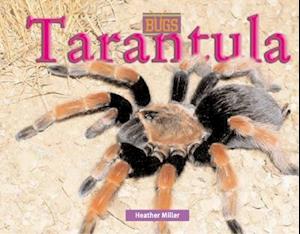 Tarantula