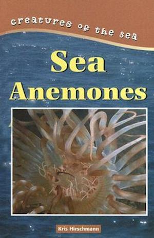 Sea Anemones