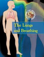 The Lungs and Breathing