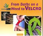 From Barbs on a Weed to Velcro