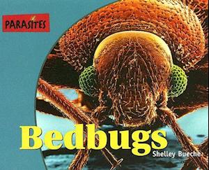 Bedbugs