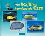 From Boxfish to Aerodynamic Cars