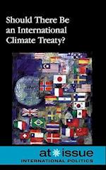 Should There Be an International Climate Treaty?