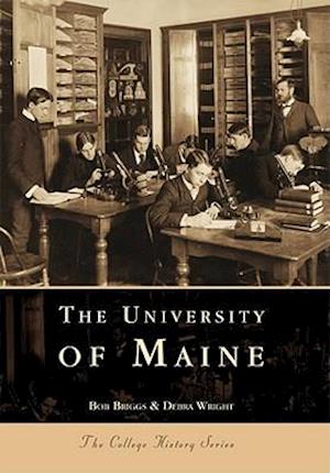 University of Maine